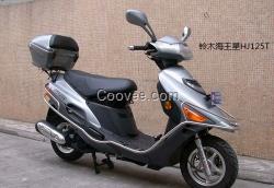 供應(yīng)鈴木海星HJ125T摩托車供應(yīng)商