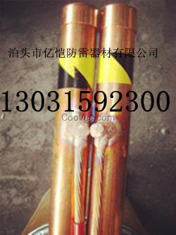 訂購電解離子接地極