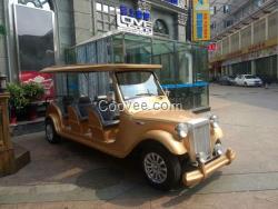 天津市電動看房車廠家電話