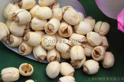 上海農產品蓮子批發