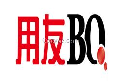 用友BQ企業(yè)管理軟件-普卓科技