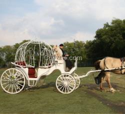 多用途南瓜馬車、婚慶馬車、馬車