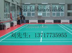 塑膠羽毛球場地 羽毛球場地價格 羽毛球塑