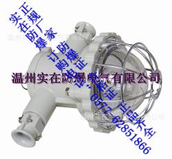 矿用隔爆型LED巷道灯