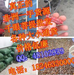 煙臺千眼菩提子原果原籽批發