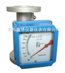 山東青島液體金屬管轉(zhuǎn)子流量計