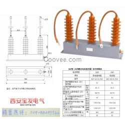 廠家生產(chǎn)BF-5Z-51 800過電壓