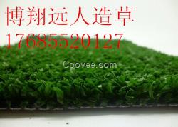 【青島博翔遠人造草坪公司】人造草坪地毯