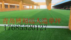 人造草坪批發價格_人造草坪廠家_假草坪