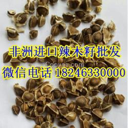 廈門辣木籽辣木茶批發(fā)