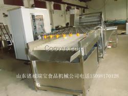 大型蔬果清洗機(jī)    品牌清洗機(jī)