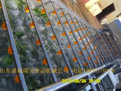 品牌蔬果清洗機  清洗機生產廠家