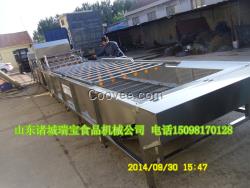 品牌翻浪清洗機   氣泡清洗機