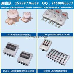 防爆燈具定做|防爆無極燈規格