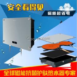 廠家直供快速熱水器,德爾頓快速熱水