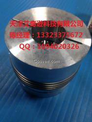 AKN300-38H7-42F6联轴器