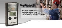 GasBadge Ex(GB90)型便携