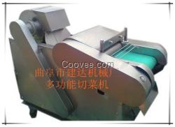 供應JQC-660多功能切菜機 土豆切片