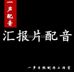 上海汇报片配音，上海课件配音、PPT配音