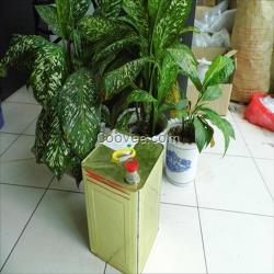 一棵樹化工批發(fā)包裝廠專用黃膠/xx-205膠