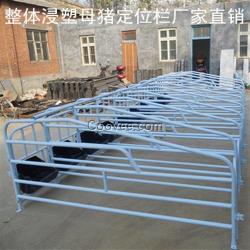 母豬定位欄、定位欄、恒力機械(已)