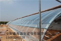 溫室大棚建設設計方案周口日光溫室材料批發
