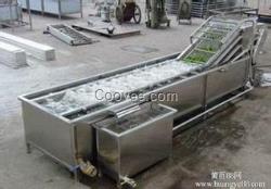 興宏600果蔬清洗機