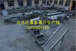 四川100公斤/每小時(shí)薯?xiàng)l薯片生產(chǎn)流水線