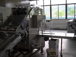 供應斗式提升機