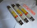 高壓高分斷能力熔斷器XRNT-10/12