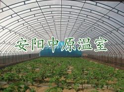 安阳蔬菜大棚 钢架大棚,中原温室工程