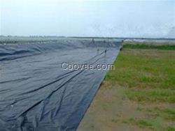 防渗土工膜供货商、防渗土工膜钱一米、
