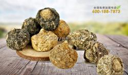 云南麗江乾歆堂瑪咖代理加盟帶你創(chuàng)業(yè)致富