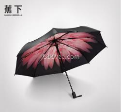 蕉下2015款双层小黑伞