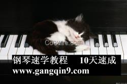 克拉莫60首鋼琴練習(xí)曲 車(chē)爾尼鋼琴練習(xí)曲