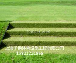 濟寧人造草坪材料批發