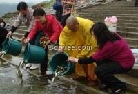 棲霞旅游,煙臺景區(qū)旅游