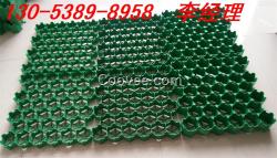 沈陽(yáng)植草格