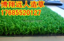 人工草坪種類,人工草坪維護(hù)