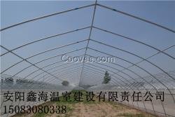 冬暖式蔬菜大棚建造特點 南陽連棟大棚建造