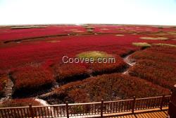 紅海灘旅游區(qū)