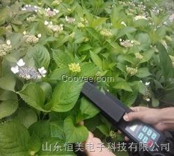 活體葉面積測量儀
