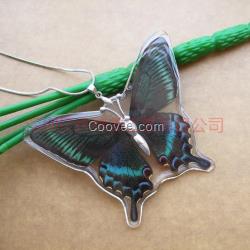 蝴蝶吊墜昆蟲琥珀綠帶翠鳳蝶真實標本項墜