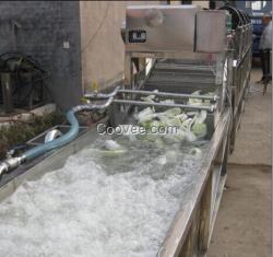 超越連續(xù)自動氣泡鼓泡草莓桃子清洗機