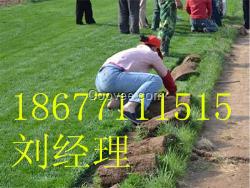 鐘山人造草足球場(chǎng)鋪設(shè)，鐘山人造草皮價(jià)格