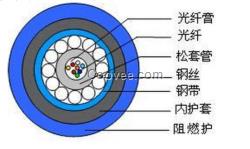 青海省煤安正企业提供MGTSV光缆 图