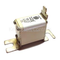 Bussmann熔斷器170M2666