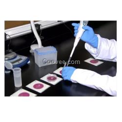 美國(guó) 沙門氏菌分子檢測(cè)試劑盒 MDAS9