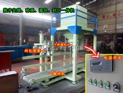 包裝煤炭機(jī)器，25塊/38塊煤炭裝袋機(jī)