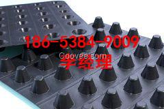 滄州防水毯廠家